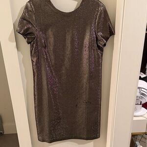 Elegant Shimmering Dress